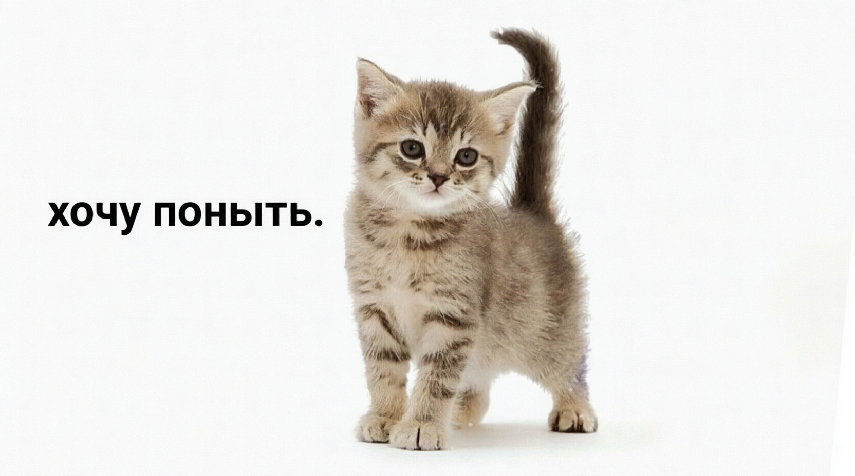 Обложка мероприятия Нижегородский клуб нытинга — первая встреча.